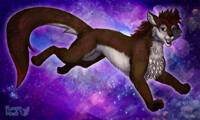 Space cat