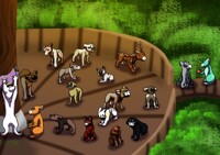 evoloon summer event optional part 5