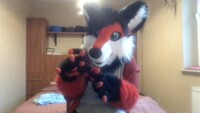 Fursuit partial wolf