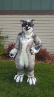 Zener - Digitigrade Semi Realistic Fullsuit Fursuit