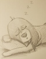 Doing a Sleep