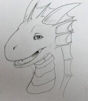 Posing for a Portrait ((gift))