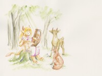 Live Concert in the Forest