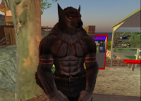 Werewuffer Wednesday (Koros)