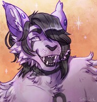 [c] Shining, Shimmering, Spendid