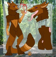 Hanz Reference Sheet