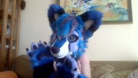 Fursuit partial fox