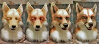 airbrushing the fox