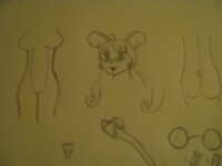 Unfinished Mousy 