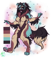 Sakari the Border Collie!