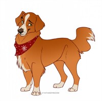 Nova Scotia Duck Tolling Retriever