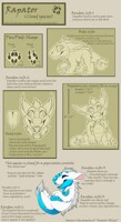 Rapators Official species ref!