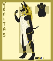 New OC Venitas