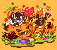 koga and pumpkin ready for  halloween