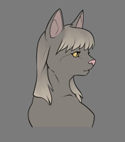 Kitty Bust