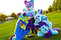 You've Come To The Right Neighborhood Friend!