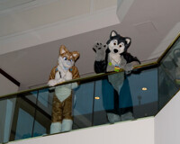 AnthroCon 2009 - Hello Down There