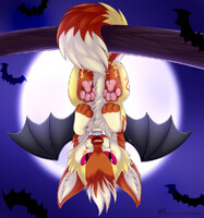 Bat jenkstar1