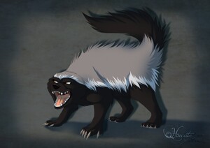 Animaltober 13 - Lion. animaltober 12 - Honey badger. 