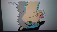 opossum