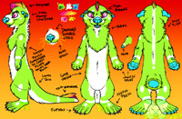 Accent Otter Reference