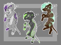 Dog Adopts: A [Adopts]