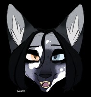 silver piebald fox