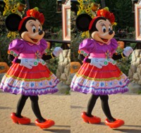 3D Minnie Halloween/Dia de muertos outfit