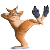 Chillin Kangaroo