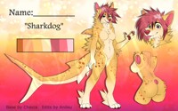 Sunshine Shark Dog Adopt OPEN