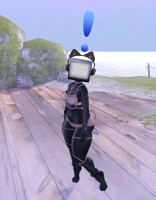Looking for a signal