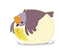 Day 217: Golden Heart Dove
