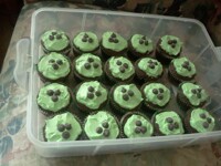 Mint Chocolate Cupcakes