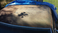RUST BEGONE!!