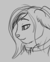 Fao sideview