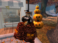 Pumpkin/Skeleton Witch