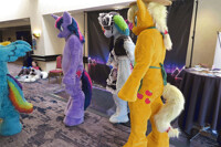 What Are They Looking At?