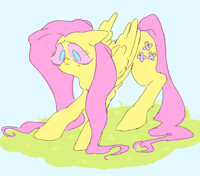 shy