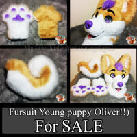 NEW Fursuit Young puppy Oliver!!)SALE