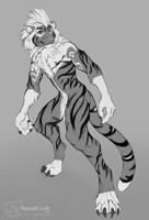 lucien-werewolf Feline Sketch