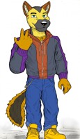 Active nerd wolf ( underwear-ish ) by TopgearAE86turbo -- Fur Affinity  [dot] net