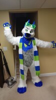 Scarf!