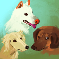 Canine Portrait Study 1