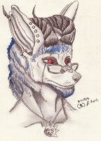 Fleety Bust 2017