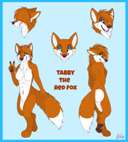 COM: Tabby Vixen - Small Reference Sheet