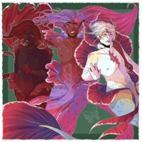 Betta Boys