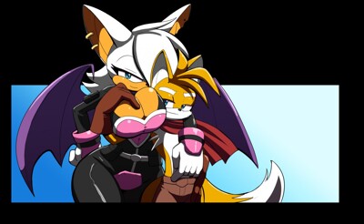 Sonic characters with Rouge clothing (commission) by mecl4105 -- Fur  Affinity [dot] net