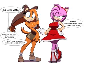 Sonic-Amy Riders by LightBell -- Fur Affinity [dot] net