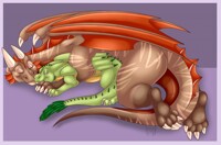 A Dragon and His Pet