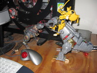 Sorta in response to Ebonyleaopard's Toy Posts...